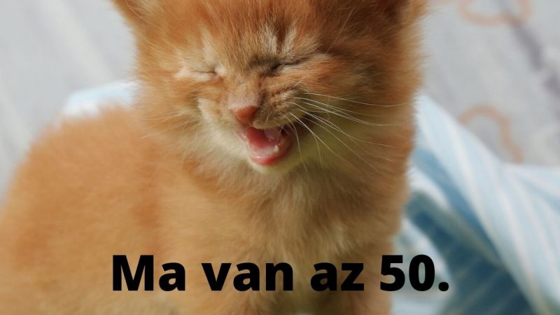 Vicces szülinapi köszöntő szövegek